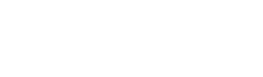 LEADER Limo Worldwide